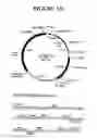Fig. 26 - Rapid Subcloning Using Site-Specific Recombination