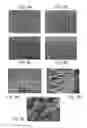 Fig. 08 - FORMATION OF ORGANIC NANOSTRUCTURE ARRAY