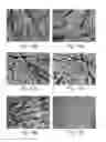 Fig. 12 - FORMATION OF ORGANIC NANOSTRUCTURE ARRAY
