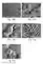 Fig. 13 - FORMATION OF ORGANIC NANOSTRUCTURE ARRAY