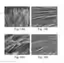 Fig. 14 - FORMATION OF ORGANIC NANOSTRUCTURE ARRAY