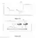 Fig. 09 - SYNTHETIC ANTIBODIES