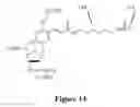Fig. 12 - SYNTHETIC ANTIBODIES