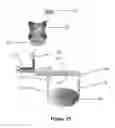 Fig. 13 - SYNTHETIC ANTIBODIES