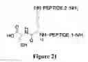 Fig. 19 - SYNTHETIC ANTIBODIES