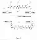 Fig. 51 - SYNTHETIC ANTIBODIES