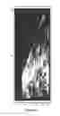 Fig. 80 - SYNTHETIC ANTIBODIES