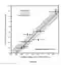 Fig. 83 - SYNTHETIC ANTIBODIES