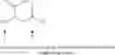 Fig. 18 - Peptides for Treatment of Obesity