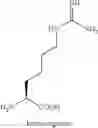 Fig. 33 - Peptides for Treatment of Obesity