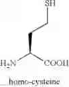 Fig. 34 - Peptides for Treatment of Obesity