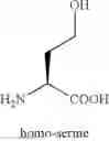 Fig. 38 - Peptides for Treatment of Obesity