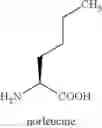 Fig. 44 - Peptides for Treatment of Obesity