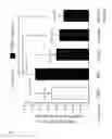Fig. 07 - Methods of using vimentin to inhibit angiogenesis and endothelial cell proliferation
