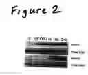 Fig. 03 - Method of treatment of type-1 diabetes with humanin analogues