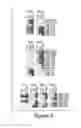 Fig. 08 - Compositions and methods for diagnosis and prognosis of cancer and progression, and for screening anti-cancer agents