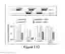 Fig. 15 - Compositions and methods for diagnosis and prognosis of cancer and progression, and for screening anti-cancer agents