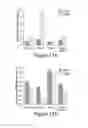 Fig. 17 - Compositions and methods for diagnosis and prognosis of cancer and progression, and for screening anti-cancer agents