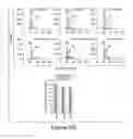 Fig. 38 - Compositions and methods for diagnosis and prognosis of cancer and progression, and for screening anti-cancer agents
