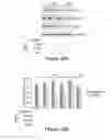 Fig. 46 - Compositions and methods for diagnosis and prognosis of cancer and progression, and for screening anti-cancer agents