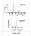 Fig. 48 - Compositions and methods for diagnosis and prognosis of cancer and progression, and for screening anti-cancer agents