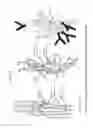 Fig. 02 - Salmon follitropin hormone analogs