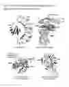 Fig. 06 - Salmon follitropin hormone analogs