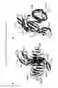 Fig. 07 - Salmon follitropin hormone analogs