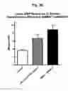 Fig. 40 - Salmon follitropin hormone analogs