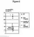Fig. 08 - Mucin 3 EGF-Like Domains