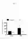 Fig. 05 - Methods for improving neurological outcome after neural injury and neurodegenerative disease