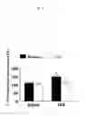 Fig. 06 - Methods for improving neurological outcome after neural injury and neurodegenerative disease