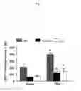 Fig. 08 - Methods for improving neurological outcome after neural injury and neurodegenerative disease