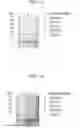 Fig. 10 - Protein scaffold library based on kringle domain structure and uses thereof