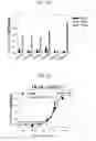 Fig. 15 - Protein scaffold library based on kringle domain structure and uses thereof