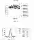 Fig. 19 - Protein scaffold library based on kringle domain structure and uses thereof