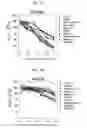 Fig. 25 - Protein scaffold library based on kringle domain structure and uses thereof