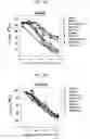 Fig. 26 - Protein scaffold library based on kringle domain structure and uses thereof