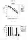 Fig. 27 - Protein scaffold library based on kringle domain structure and uses thereof