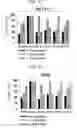 Fig. 28 - Protein scaffold library based on kringle domain structure and uses thereof