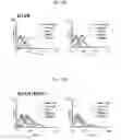 Fig. 29 - Protein scaffold library based on kringle domain structure and uses thereof