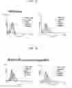 Fig. 30 - Protein scaffold library based on kringle domain structure and uses thereof