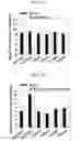 Fig. 31 - Protein scaffold library based on kringle domain structure and uses thereof