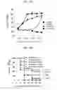 Fig. 35 - Protein scaffold library based on kringle domain structure and uses thereof