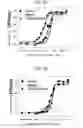 Fig. 40 - Protein scaffold library based on kringle domain structure and uses thereof