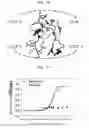 Fig. 43 - Protein scaffold library based on kringle domain structure and uses thereof