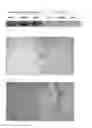 Fig. 02 - Cancer antigen eEF2
