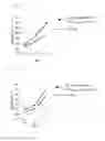 Fig. 11 - Cancer antigen eEF2