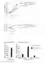 Fig. 12 - Cancer antigen eEF2