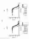 Fig. 13 - Polypeptides that Bind TRAIL-R1 and TRAIL-R2